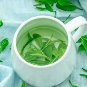喝剩下的茶叶有什么日常妙用 巧用茶渣解决生活中的小问题