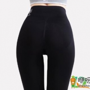 小狗燃脂裤什么料子