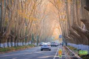 2021年南京从几月份开始冷