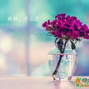 2020年12月份冷不冷