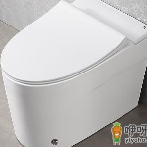 马桶两个排污口好不好