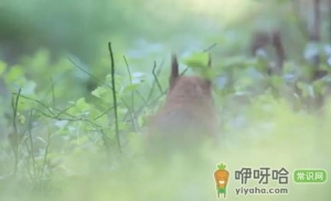 2022每年什么节气天气转暖