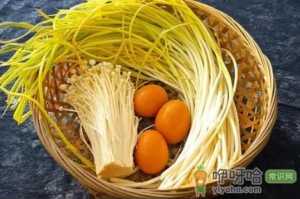 蒜黄怎么播种好