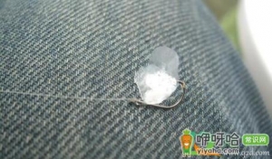 钓鱼总是挂鱼鳞是什么原因