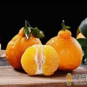 丑橘大果好还是中果好