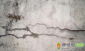 墙面发霉怎么自己翻新要用砂纸打磨下吗