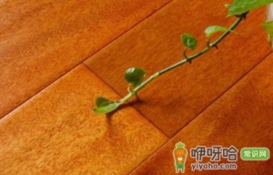 实木地板连接的地方产生缝隙了怎么办