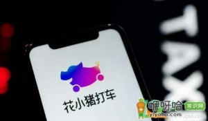 哪些车型可以注册花小猪