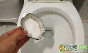 小苏打和啥通厕所比较好