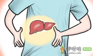 喝牛奶会加重脂肪肝吗
