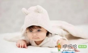 2022年几月虎一等命
