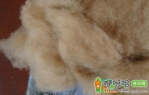 驼绒能水洗嘛