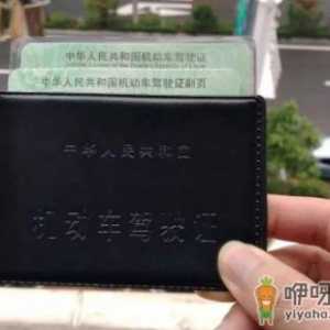 领完驾照什么时候能申请电子版