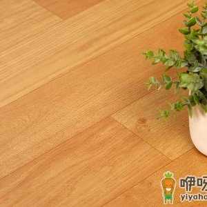 地板革下面潮湿会有虫子吗
