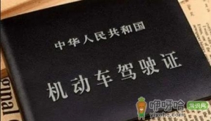 2022春节期间几号可以年审驾驶证