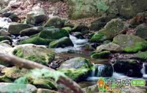 水管里长青苔有什么解决