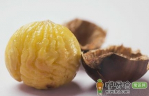板栗煮熟怎么去皮和壳