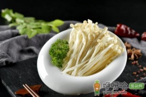 散的金针菇如何保存