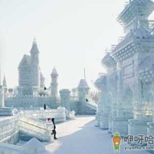 哈尔滨冰雪大世界能自己带吃的吗