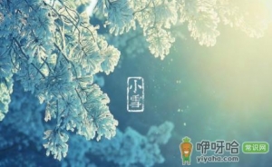 小雪节气是几九2022