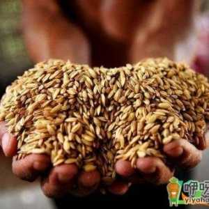 2021年春天会缺粮吗