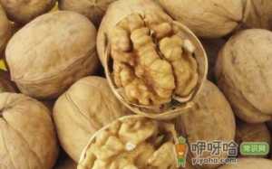 文玩核桃和吃的核桃一样吗