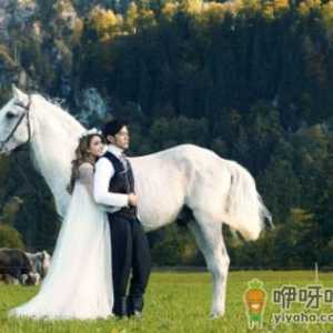 2022年重阳节结婚好不好