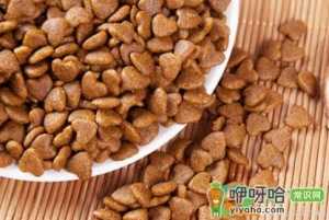 幼猫泡猫粮泡到几个月
