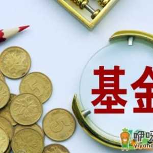 疫苗基金现在可以买吗11月