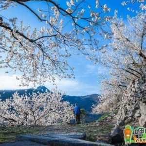 2021年2月是什么季节
