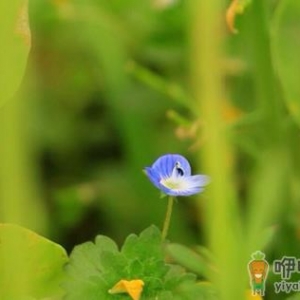 出九是什么节气2022