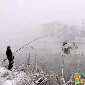下雪天钓鱼用什么饵料好