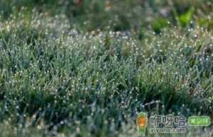 2021年白露后气温会下降吗