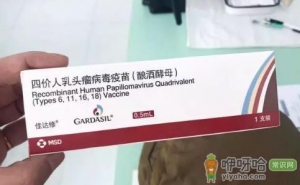 为什么医生建议打二价不打四价