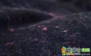 裤子粘毛是质量差吗