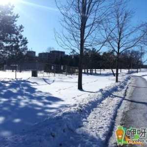 2020-2021冬天下雪的时候多不多