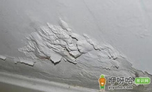 室内漏雨掉墙皮怎么修复