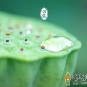 白露具体时间几点2022