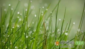 2021白露过后天气还潮湿吗