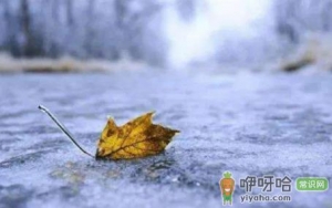 今日立冬几点几分交节2022