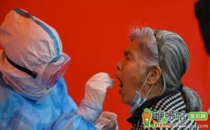 天津滨海新区全员核酸检测吗