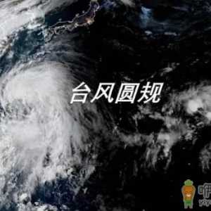 2021台风圆规几月几号几点几分登陆