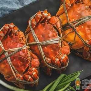 大闸蟹先上市公的还是母的