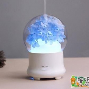 加湿器长绿苔能用吗