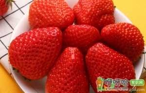 丹东草莓为什么那么大