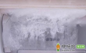 冰箱下边冷冻结冰怎么回事
