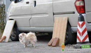 为什么车轮胎旁边放一个板子