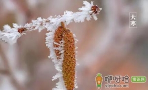 2022过了大寒之后天气是暖和还是冷