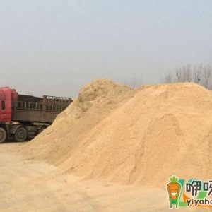锯末可以代替椰糠养花吗
