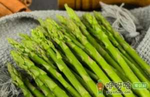 吃芦笋小便有异味正常吗
